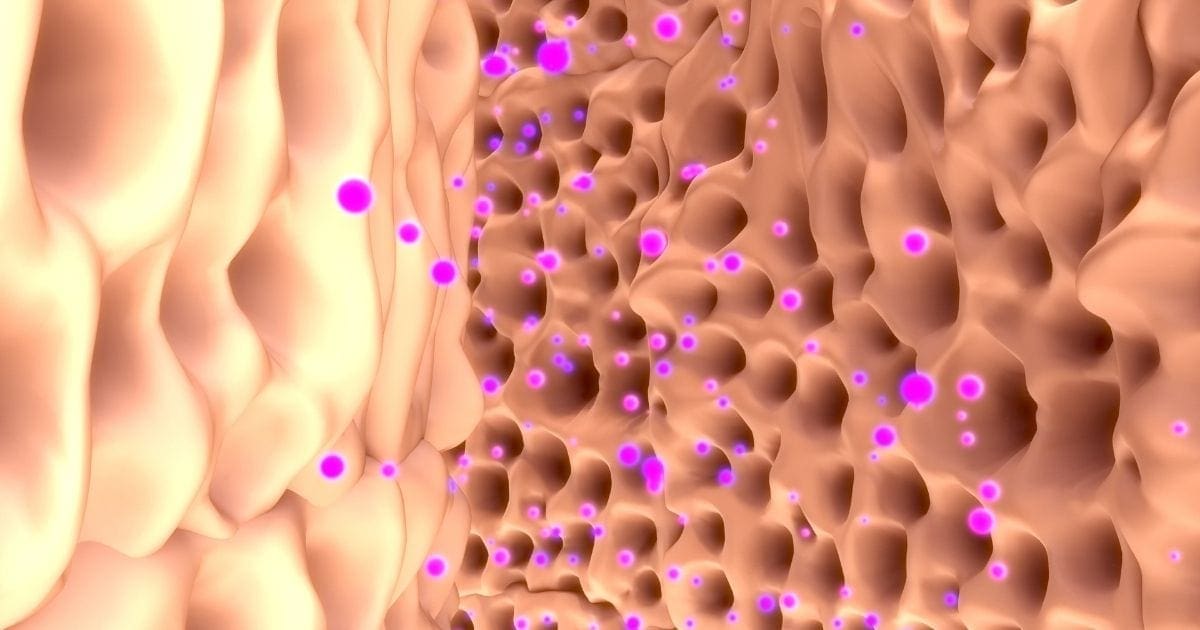 azione zeolite migliore sul sangue