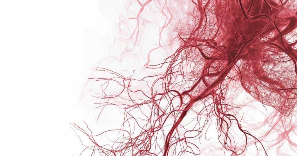 immagine dle microcircolo